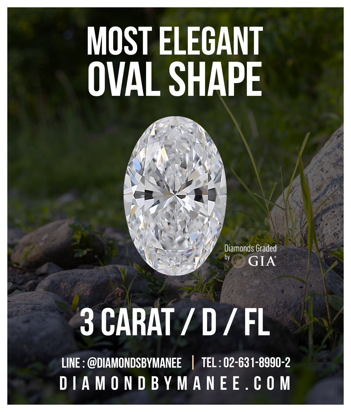 Oval 3 CT/D/FL/GIA