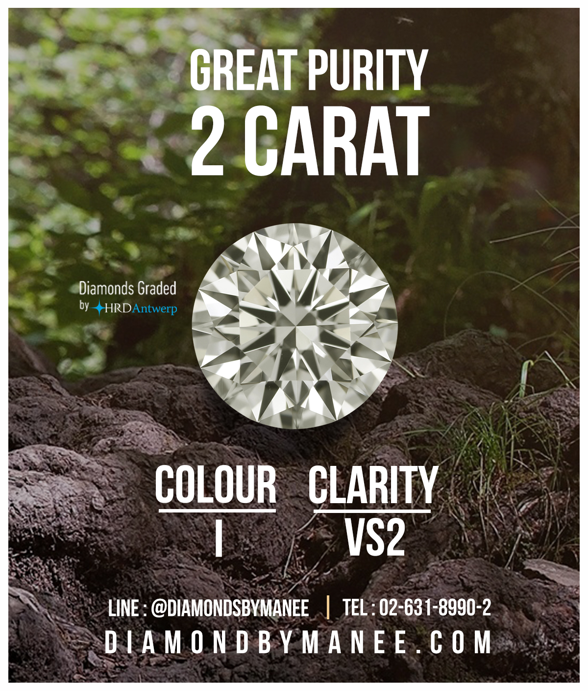 เพชรพรีเมียมไซส์ 