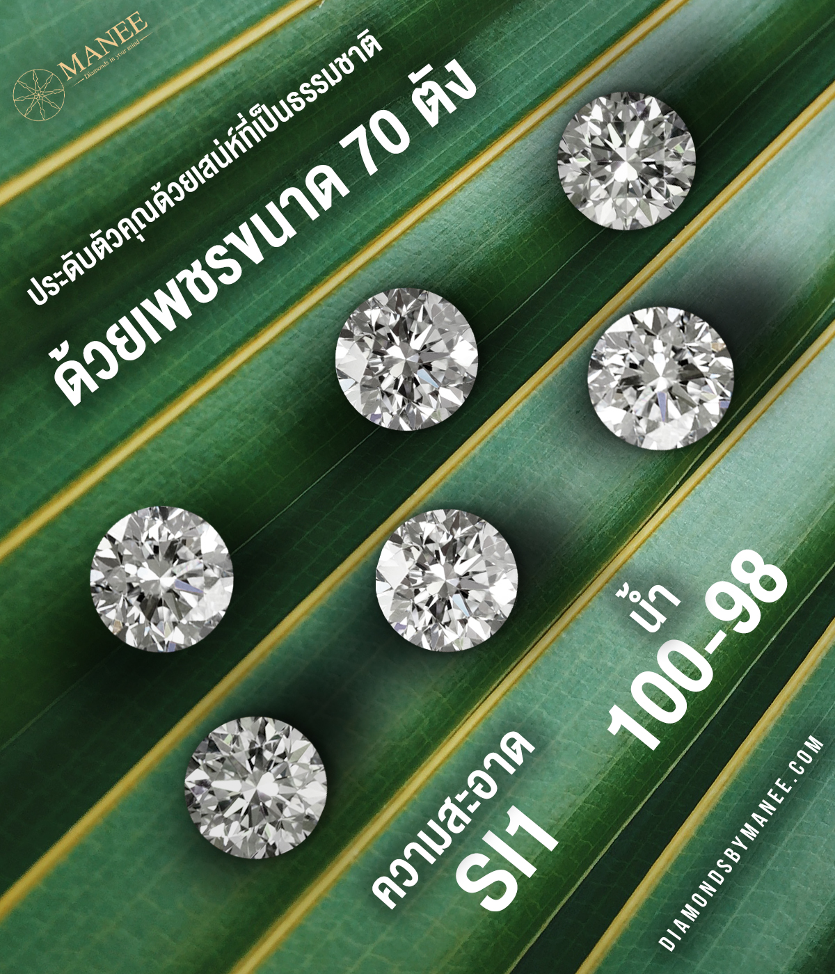 ประดับตัวคุณด้วยมนต์เสน่ห์