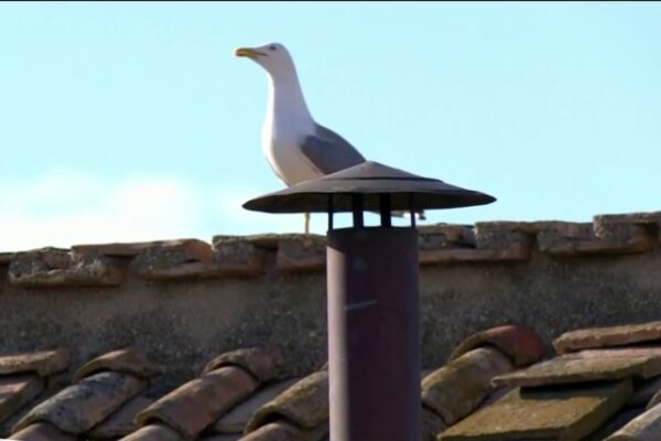 Conclave officially begins to select a new pope